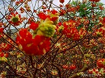 20070309 20.jpg
